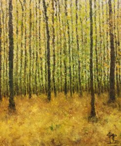 Susquehannock Forest #5